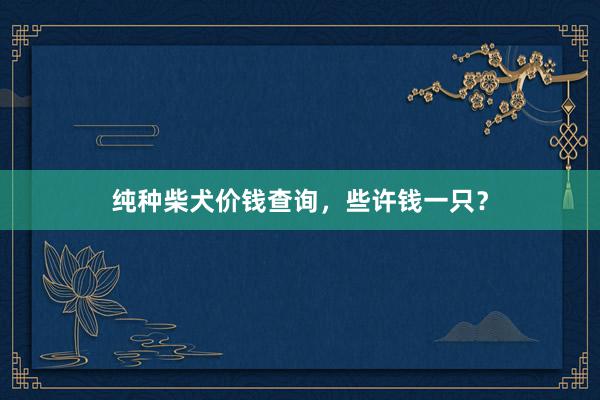 纯种柴犬价钱查询，些许钱一只？