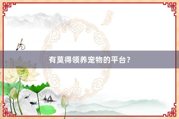 有莫得领养宠物的平台?