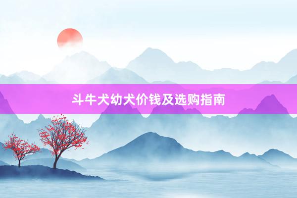 斗牛犬幼犬价钱及选购指南