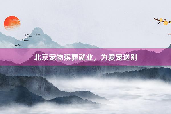 北京宠物殡葬就业,为爱宠送别
